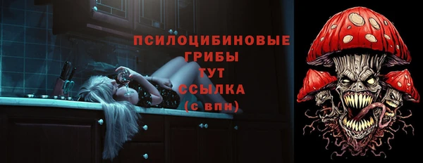 PSILOCYBIN Лабытнанги