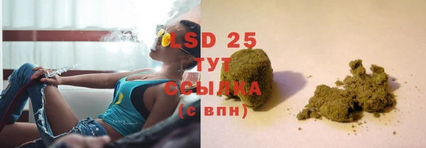 PSILOCYBIN Лабытнанги