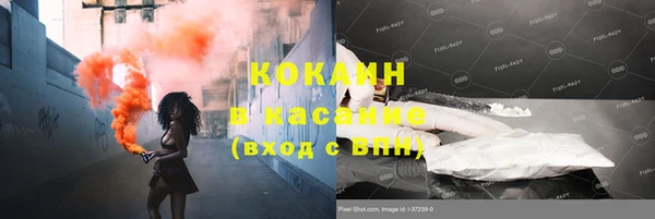 PSILOCYBIN Ладушкин