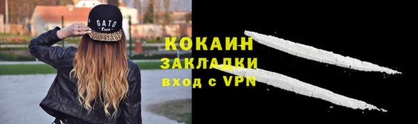 PSILOCYBIN Ладушкин