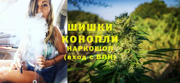 PSILOCYBIN Лабытнанги