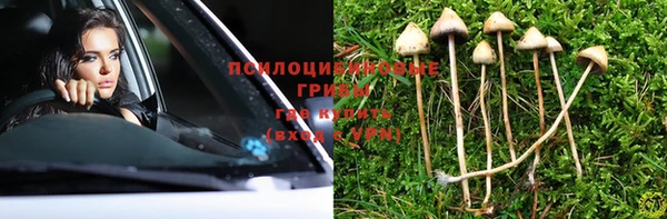 PSILOCYBIN Лабытнанги