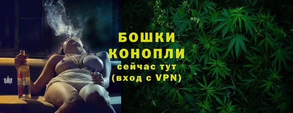 PSILOCYBIN Ладушкин