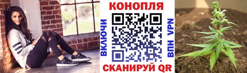 где продают   Никольск  маркетплейс клад  Марихуана OG Kush 